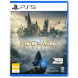 Игра Hogwarts Legacy. Exclusive DLC Astronomers Hat [PS5, русские субтитры] в Кургане